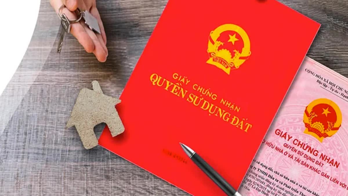 Luu Ban Nhap Tu Dong 6629 17081555027901445989798